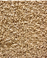 carpet-perfect-small